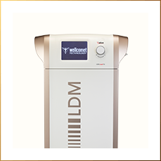 LDM
